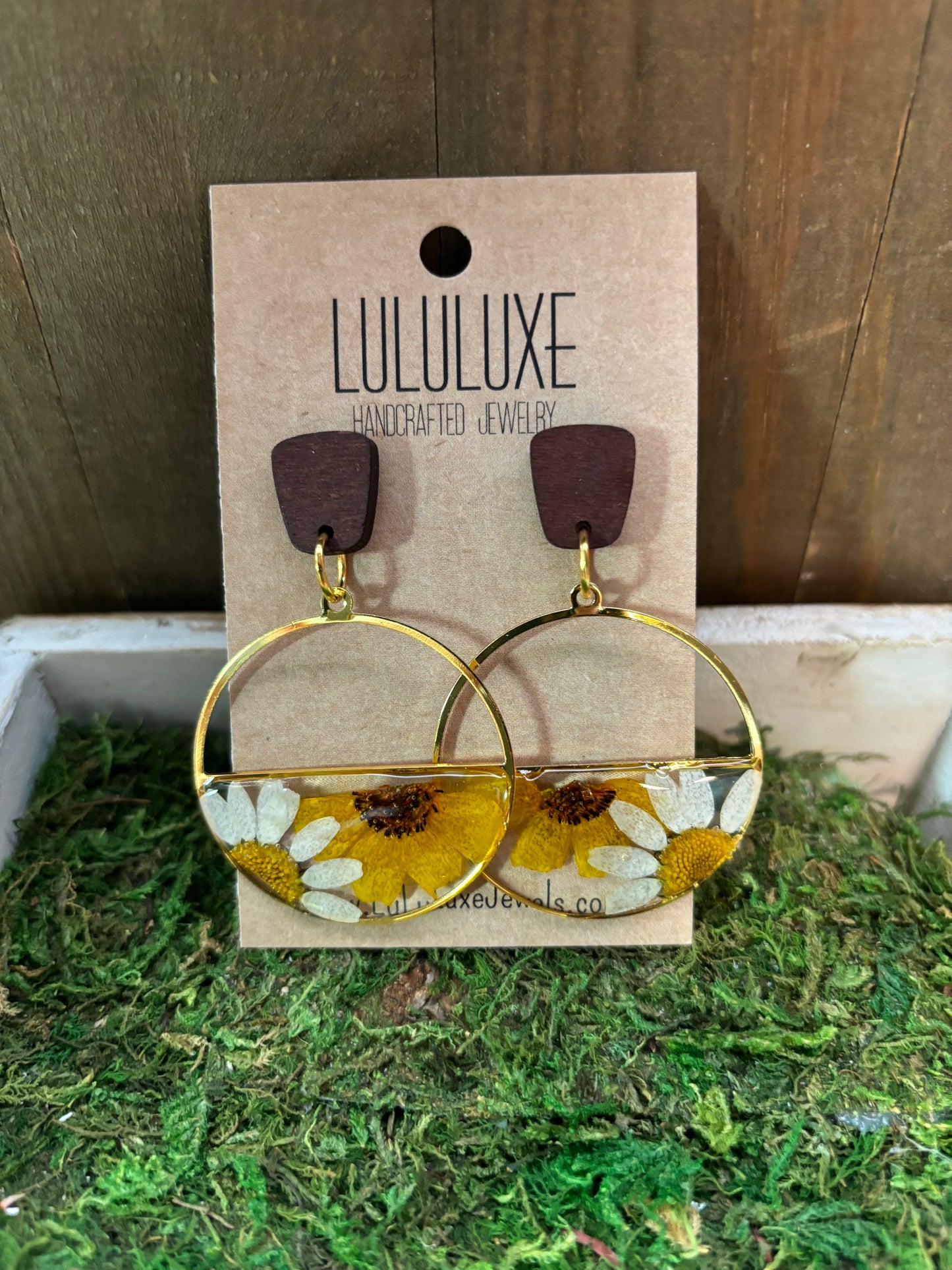 Statement Circle Earrings